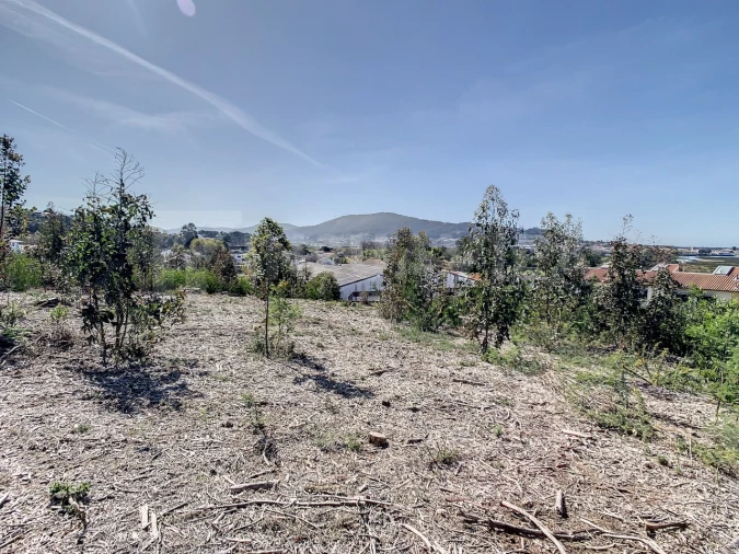 Terreno para Venda em Seixas Foto 15