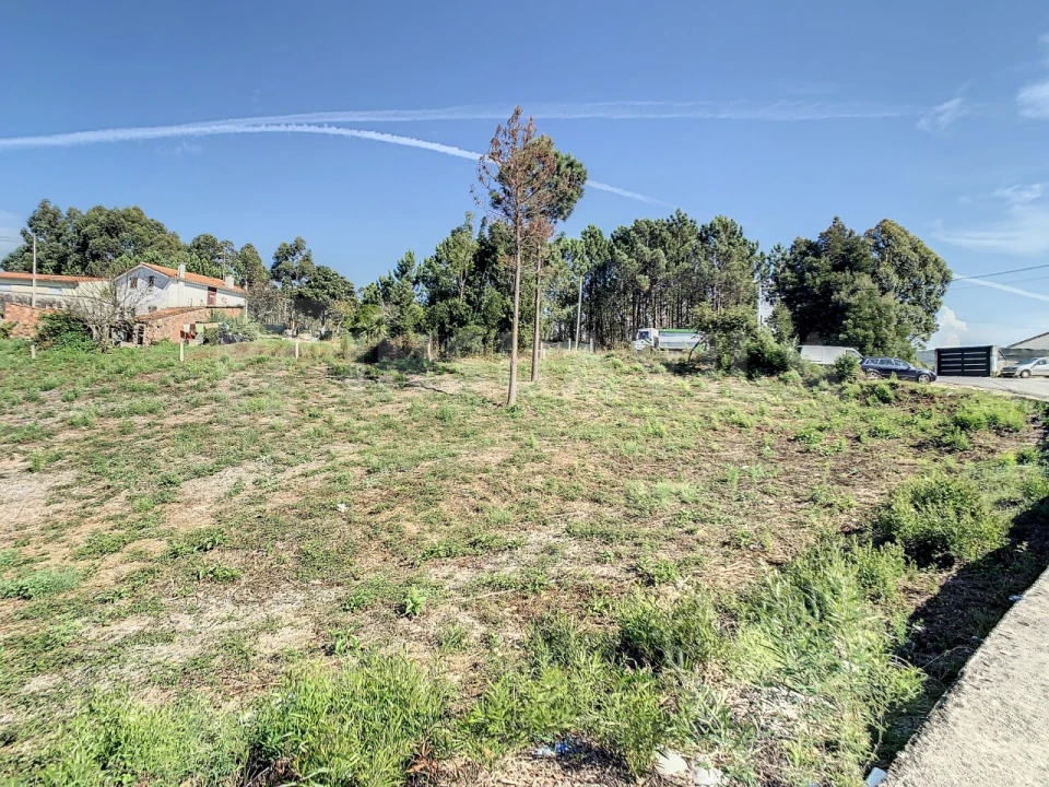 Terreno para Venda em Seixas Foto 8