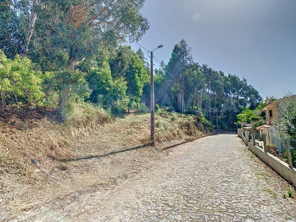 Terreno para Venda em Seixas Foto 13