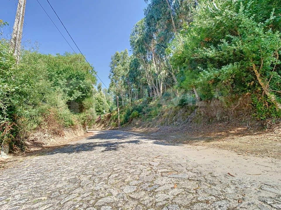 Terreno para Venda em Seixas Foto 15