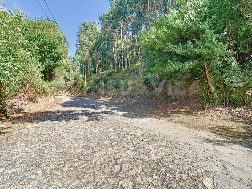 Terreno para Venda em Seixas Foto 17
