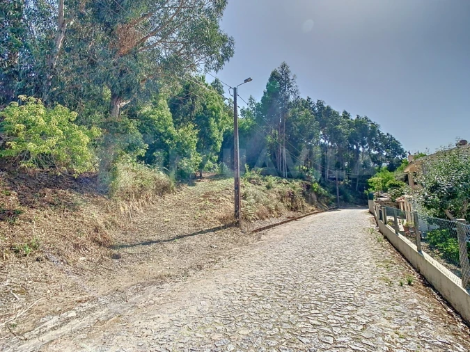 Terreno para Venda em Seixas Foto 12