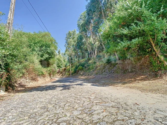 Terreno para Venda em Seixas Foto 15