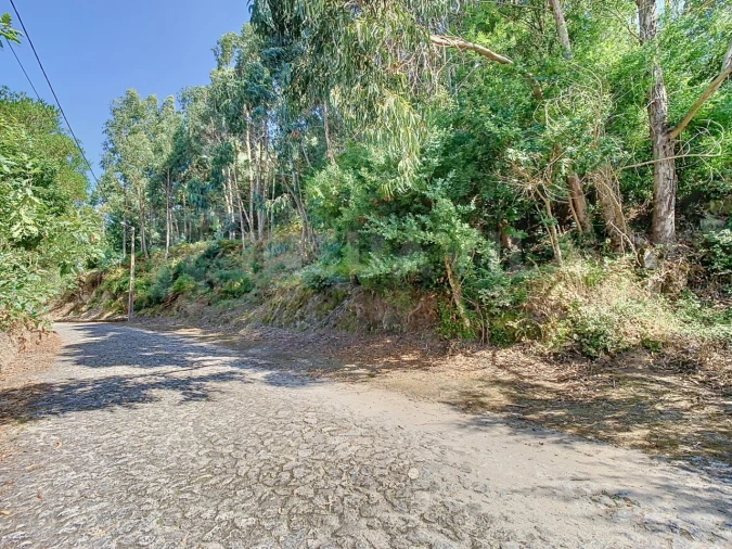 Terreno para Venda em Seixas Foto 16