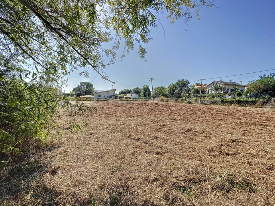 Terreno para Venda em Seixas Foto 7