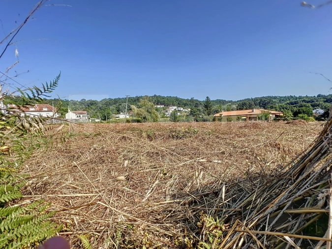 Terreno para Venda em Seixas Foto 9