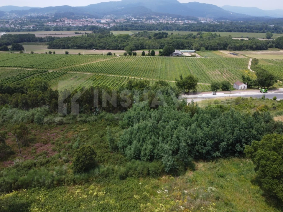 Terreno para Venda em Ganfei Foto 4