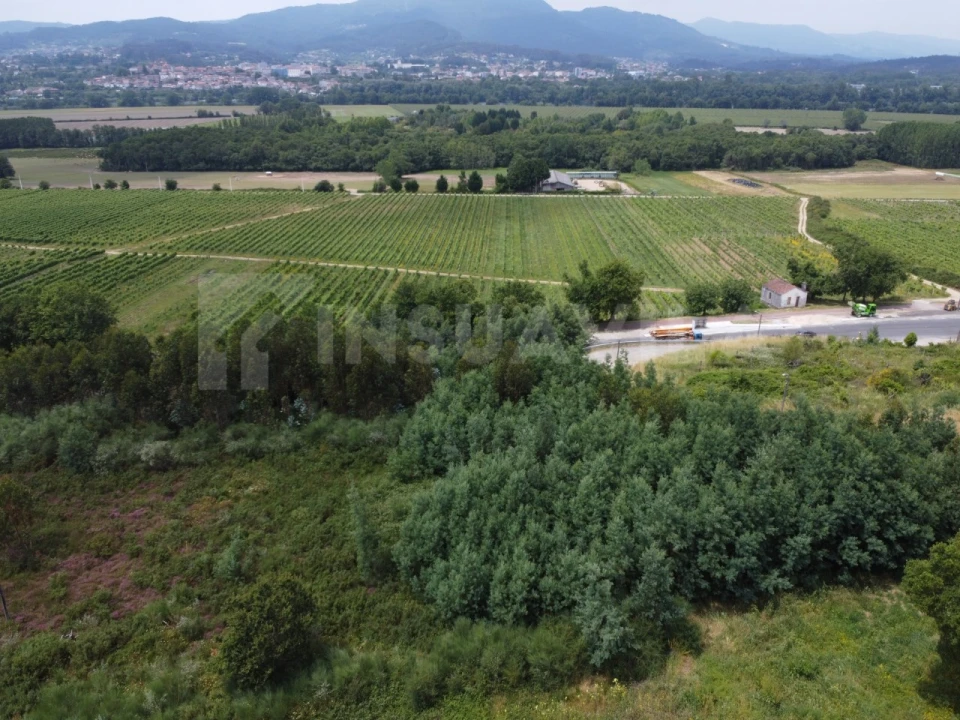 Terreno para Venda em Ganfei Foto 5