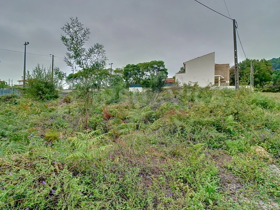 Terreno para Venda em Afife Foto 2