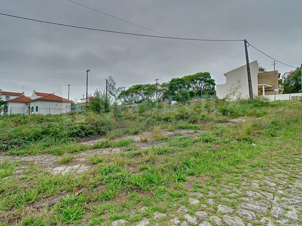 Terreno para Venda em Afife Foto 4