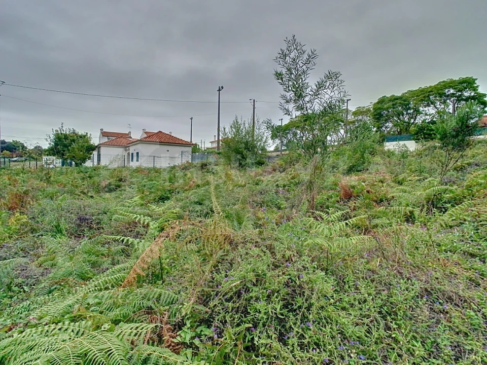 Terreno para Venda em Afife Foto 6