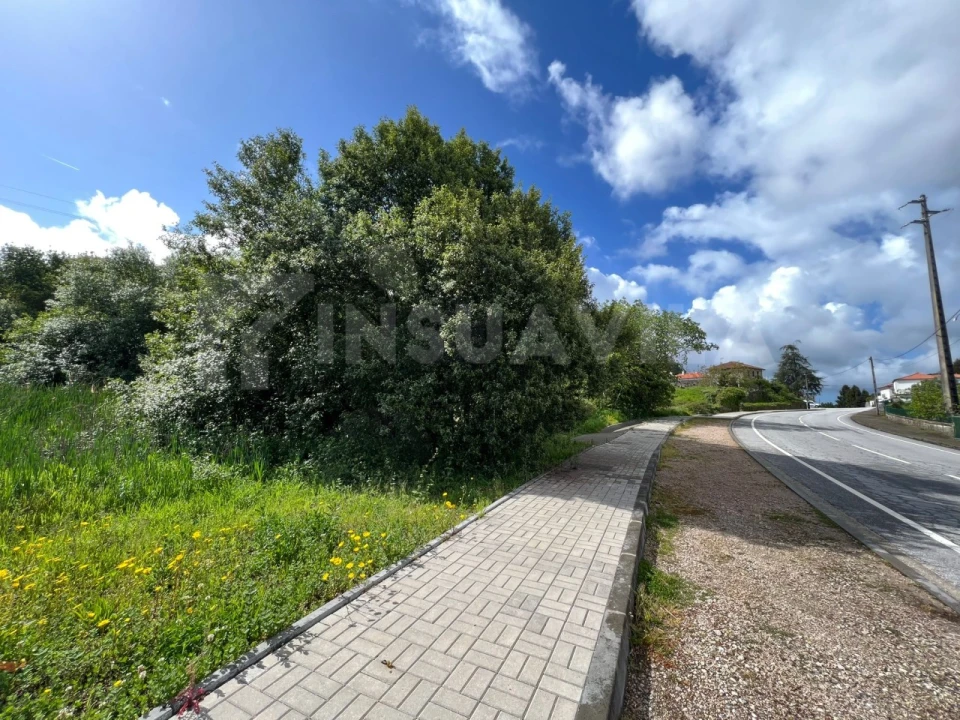 Terreno para Venda em Reboreda e Nogueira Foto 5