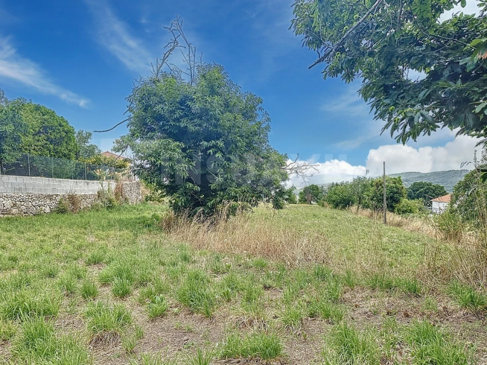 Terreno para Venda em Caminha (Matriz) e Vilarelho Foto 15