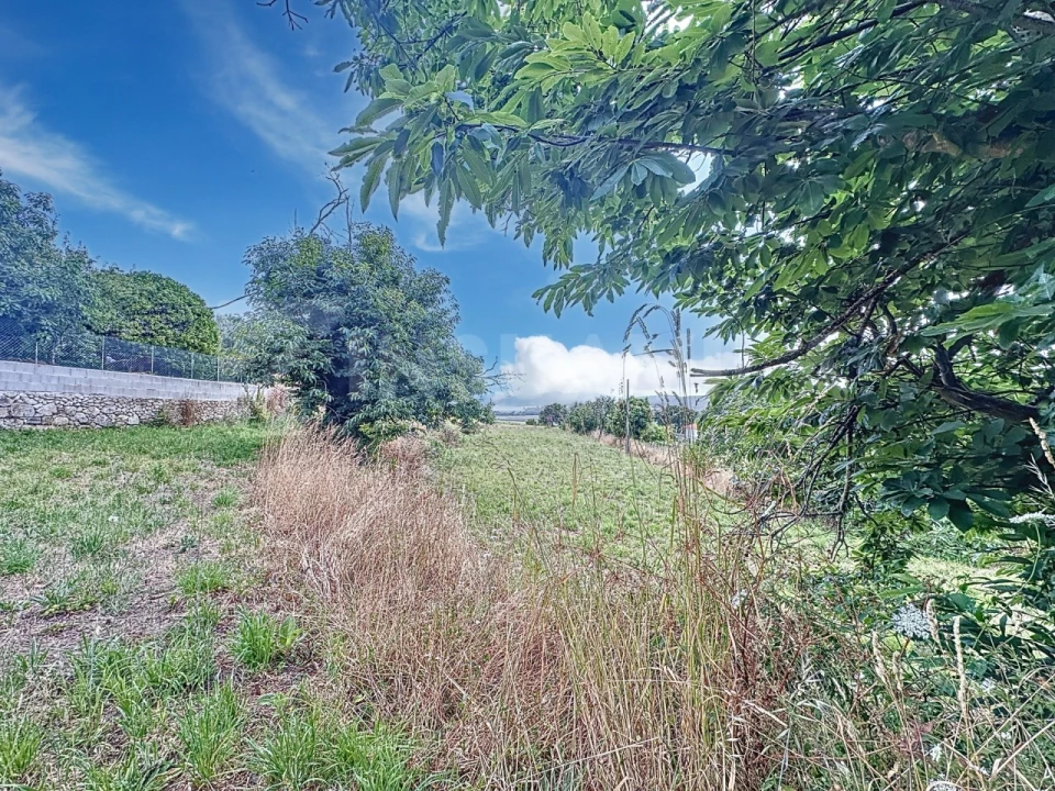 Terreno para Venda em Caminha (Matriz) e Vilarelho Foto 16