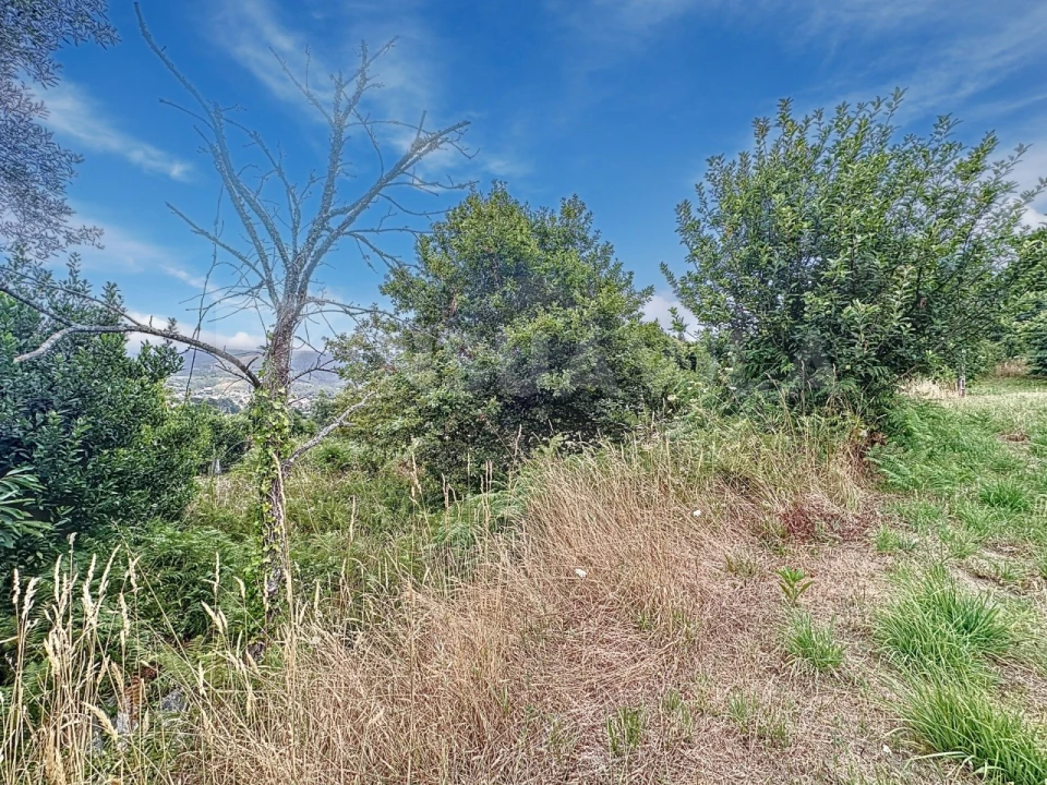 Terreno para Venda em Caminha (Matriz) e Vilarelho Foto 20