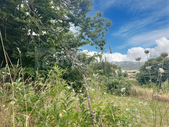 Terreno para Venda em Caminha (Matriz) e Vilarelho Foto 14