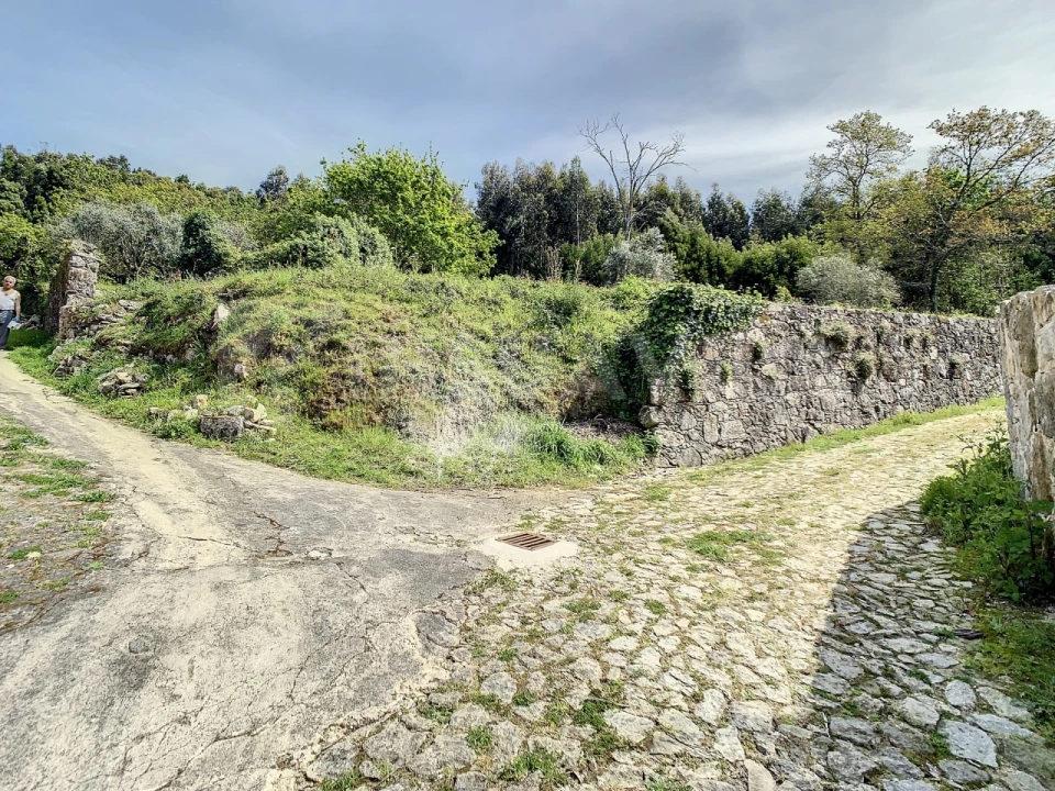 Terreno para Venda em Moledo e Cristelo Foto 4
