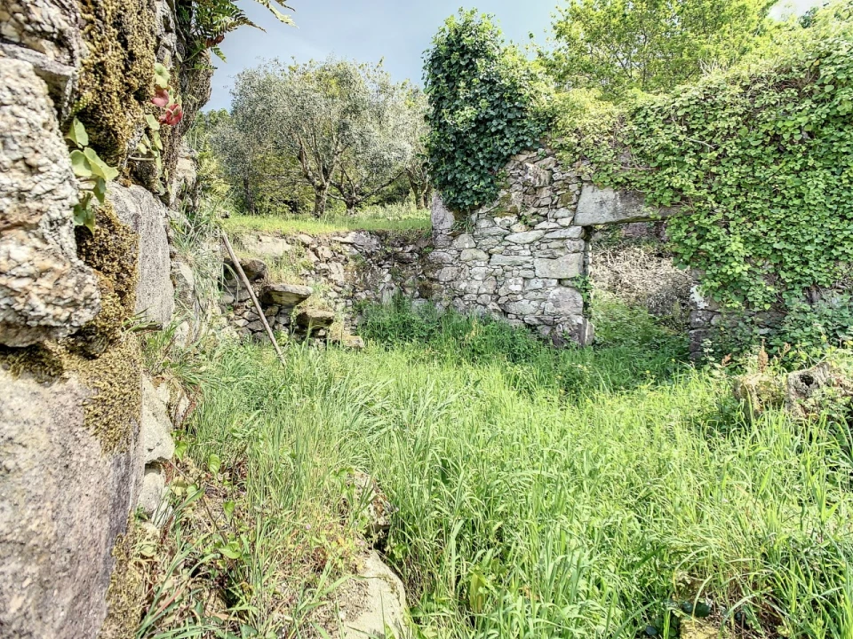 Terreno para Venda em Moledo e Cristelo Foto 9