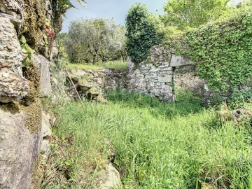 Terreno para Venda em Moledo e Cristelo