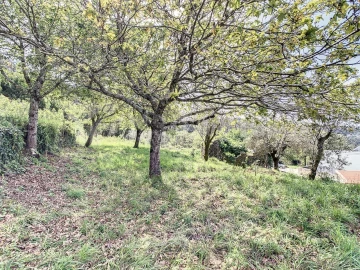 Terreno para Venda em Moledo e Cristelo