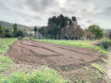 Terreno para Venda em Moledo e Cristelo