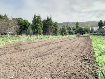 Terreno para Venda em Moledo e Cristelo