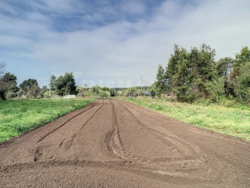 Terreno para Venda em Moledo e Cristelo