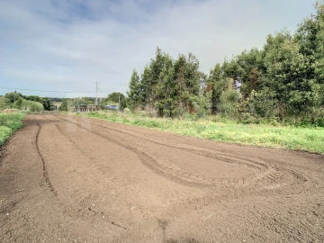 Terreno para Venda em Moledo e Cristelo