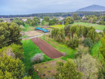 Terreno para Venda em Moledo e Cristelo
