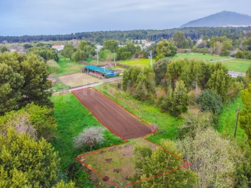 Terreno para Venda em Moledo e Cristelo