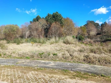 Terreno para Venda em Seixas