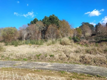 Terreno para Venda em Seixas