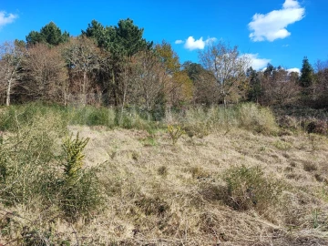 Terreno para Venda em Seixas