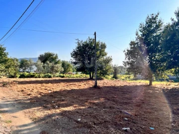Terreno para Venda em Seixas