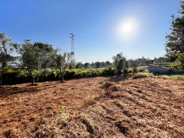 Terreno para Venda em Seixas