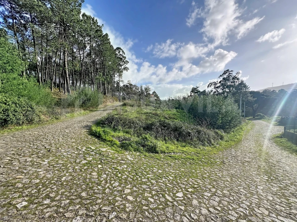 Terreno para Venda em Venade e Azevedo Foto 7