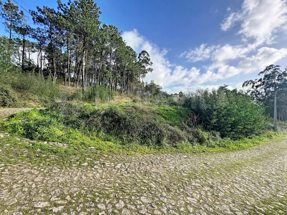 Terreno para Venda em Venade e Azevedo Foto 8