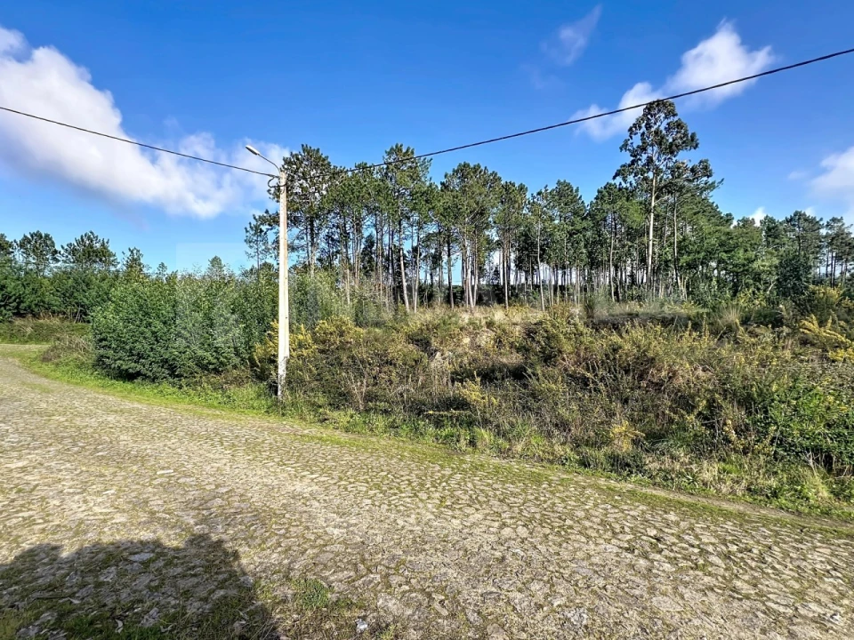 Terreno para Venda em Venade e Azevedo Foto 10