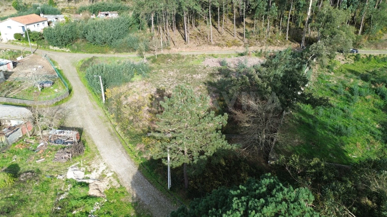 Terreno para Venda em Venade e Azevedo Foto 13