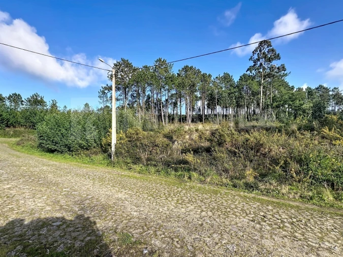 Terreno para Venda em Venade e Azevedo Foto 10