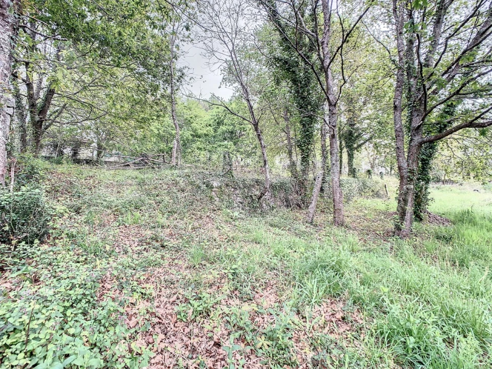 Terreno para Venda em Vilar de Mouros Foto 9