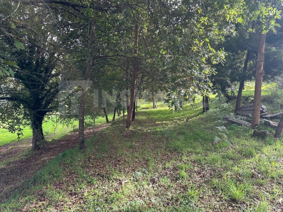 Terreno para Venda em Caminha (Matriz) e Vilarelho Foto 11