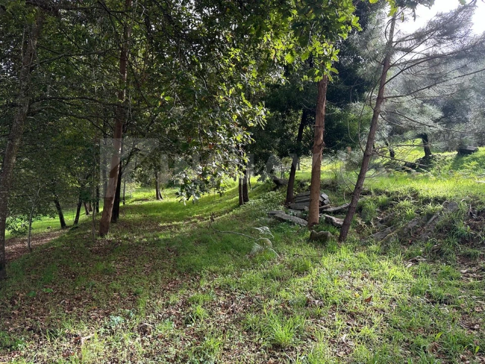 Terreno para Venda em Caminha (Matriz) e Vilarelho Foto 14