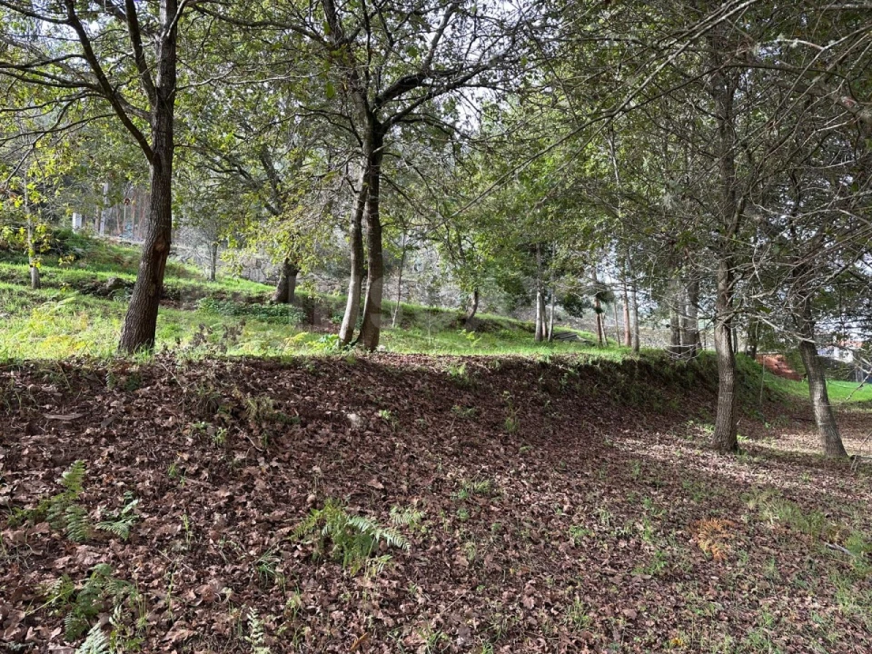 Terreno para Venda em Caminha (Matriz) e Vilarelho Foto 15