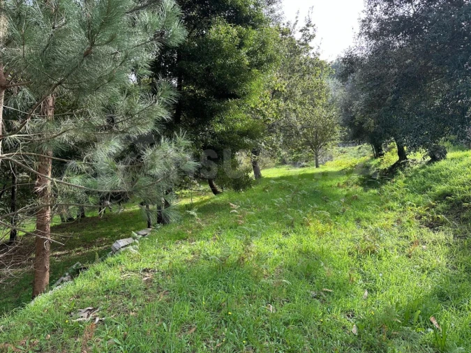 Terreno para Venda em Caminha (Matriz) e Vilarelho Foto 7