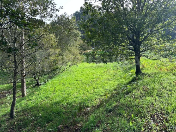 Terreno para Venda em Caminha (Matriz) e Vilarelho Foto 8