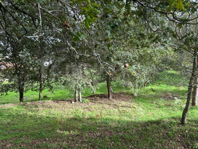 Terreno para Venda em Caminha (Matriz) e Vilarelho Foto 10