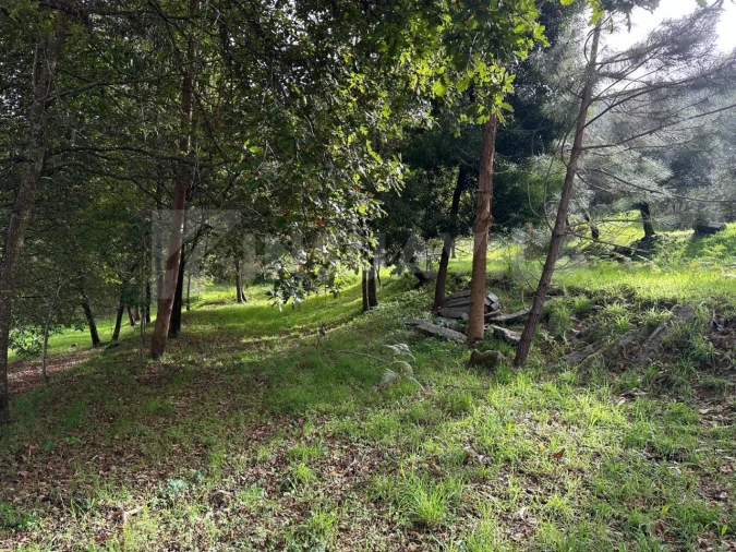 Terreno para Venda em Caminha (Matriz) e Vilarelho Foto 14