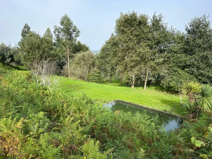 Terreno para Venda em Caminha (Matriz) e Vilarelho Foto 16
