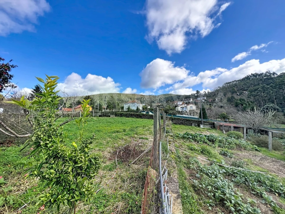 Terreno para Venda em Argela Foto 11